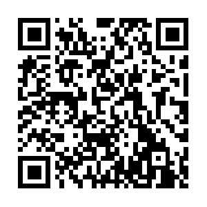 Xn----hn8en8ts1a79tq5d11an6js7b83p61r.com QR code