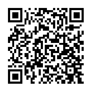 Xn--institut-fr-lebenskunst-lpc.com QR code