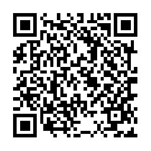 Xn--l8jea5c1fsq2dvgy81z8k8b0r0asr5d.net QR code