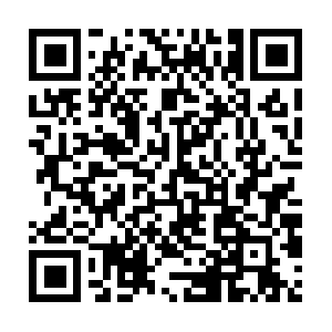 Xn--l8jq3b1d0a8ppaa8ota90bgn2a60813a.net QR code