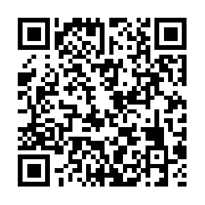 Xn--lck0c6eya6bc7560dc54diztar2c0x6ap2b.com QR code