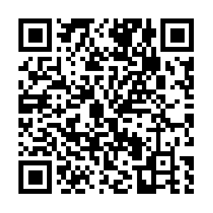 Xn--lenyrodrguezarquitectos-8ec7l.com QR code