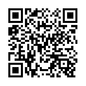 Xn--lindtandsprngli-9vb.net QR code