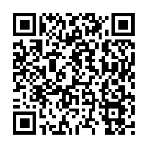 Xn--mobile-kleintierbetreuung-mnchen-ymd.com QR code