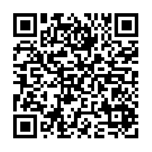 Xn--n8j6d5gzaho7duezble42b6go466d36i.net QR code