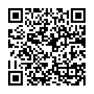 Xn--n8jlf3c5b2b6myey2aa5144fco3blqaw60q.net QR code