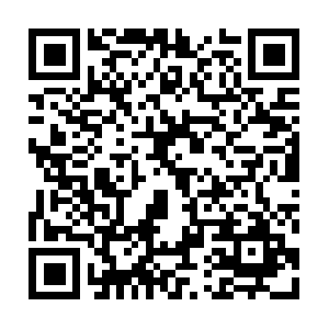 Xn--n8jvk7aa41ajd238wh2esr4c94p5qv.com QR code