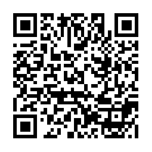 Xn--nckg3oobb8486bndab6067cu15b2z6a.net QR code