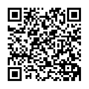 Xn--nckgnxu9cvfd4g9cgj7ifcb25866b.net QR code