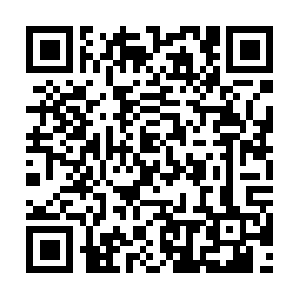 Xn--nckxc5bn1a8ayeb4f1675br6ktznt69p.biz QR code