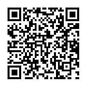 Xn-----nikibi-1x4h3kkdq944kw56a4l3a.com QR code