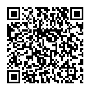 Xn--ochronaprzedptakamiidzikimizwierztami-c1e.com QR code