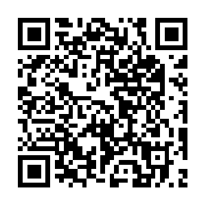 Xn--ok0bj1i0rfsydptat7mnxc05mtya554b.com QR code