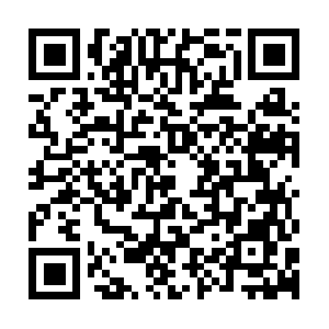 Xn--p8jj1m0b3b5004ax6bg44cqv5gyzbt6y.net QR code