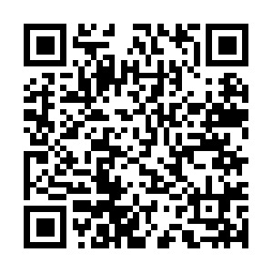 Xn--p8jn2c9jtb8164a3dwk29b4qeiuj.biz QR code