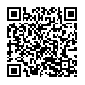 Xn--persnlichkeitsstrungen-verstehen-ngdm.com QR code