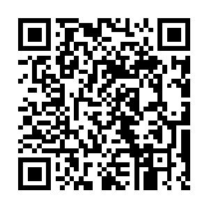 Xn--q20bt3fvtcf3d8xgfne04d62p66qekc.com QR code