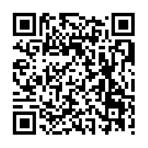 Xn--qck5b0en7fq67tosyas9mw94d8t2a.com QR code