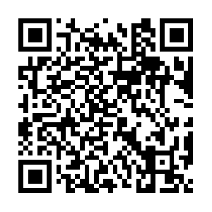 Xn--qckqn8bjh2b4izdl2f3ef9364n81yc.com QR code