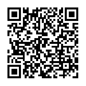 Xn--routelacampagneavecarbre-z7b.com QR code