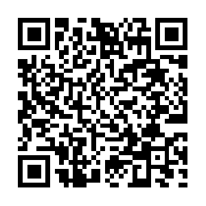 Xn--sincanorganizekiralkforklift-hhe.com QR code