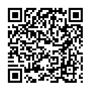 Xn--sp-ig4ascae4wick5gyae1hyf1045eyuvc.net QR code