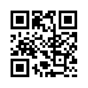 Xn--t2brv3a.net QR code