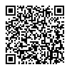 Xn--t8j0azsua2a2bl6a4pva0rbb5lu209cpgydc8ze.com QR code