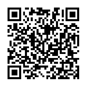 Xn--t8j1jyd4a3834ccfkg8hd4wbt9b.net QR code