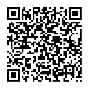 Xn--t8j4aa4nmisa11bucb6948f4zvcy1zaf0qejj.net QR code