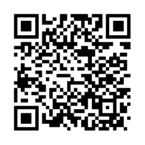 Xn--t8j4aa4npg8h1bz026c4hep71f.com QR code