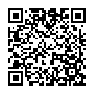 Xn--t8j4aa4npgya3j6b0c1iri0a1627q1ooc.net QR code