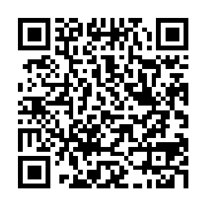 Xn--t8j8a2iqfpan1hpcvqza2a3gb2j2691dbs0a.net QR code