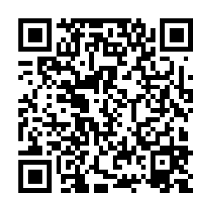 Xn--tckhg7m2b0fc8261dqcken2d1pzbmqk.net QR code