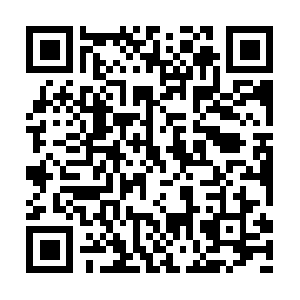 Xn--therapeutic-touch-schfer-bcc.com QR code