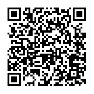 Xn--tlqq1epa00o9ew05dn0a955bb7q86ab24ji88a9km.net QR code