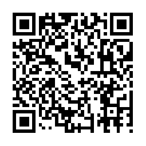 Xn--u9j044gp9b8rbl06gvbav50g2v1be4bh99c.com QR code