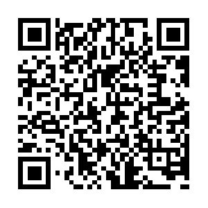 Xn----uwfhcm2id9a3ap5c4bvg7duerh1fd.net QR code