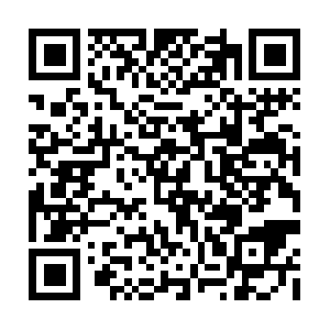 Xn--vhqqb87b9cq8volgx9n306bwko3f7dwrf.com QR code