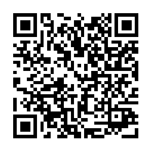 Xn--vhqqbwgq4an0bg7x4jiqxur3ds62dgb2c.com QR code