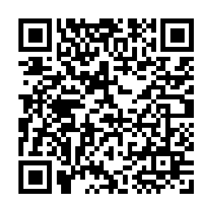 Xn--vio3navi-cu4g8oqii772bw9qc1o6c.net QR code