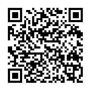 Xn--vsvs-uk4ce1bn4xla35aje9ebc0863lu1oi.com QR code