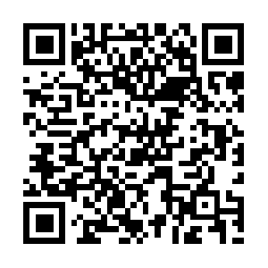 Xn--vuq01f9c181ccicqy1ak6ai32emvk.net QR code