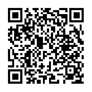 Xn--w8j9koa4bo7hvh7a8033dxedfo8csr0b.com QR code