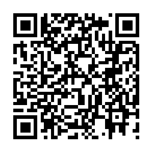 Xn--w8jujmdwac7a3bl0pe7qn597azuwbbpt.net QR code