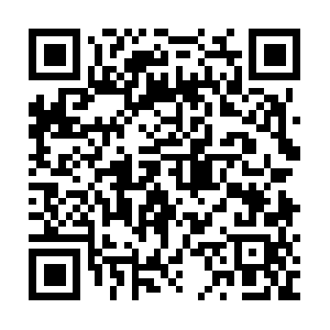Xn--wifi-yk4c6fre7f9ca1qb6496q264d.biz QR code