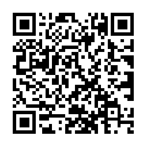 Xn--wjq19bz2djd073ayyikym5er29ent3d.com QR code