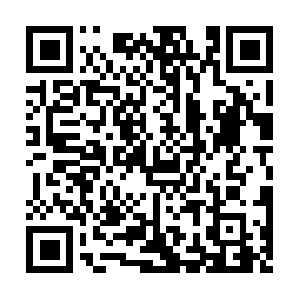 Xn--x-87tzbvda06apa6tsk2gq151c2qa544d914g.net QR code