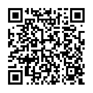 Xn--y8jpypn7a5jvttlx83zjzb65av0mqm3fvwvd.net QR code