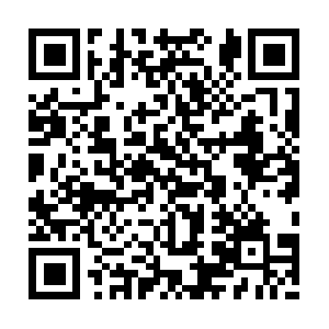 Xn--zfrt2mf0jr5b66bu3uw6nq6p4qdvq9a.com QR code